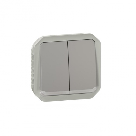 Commande double interrupteur ou poussoir lumineux Plexo composable gris