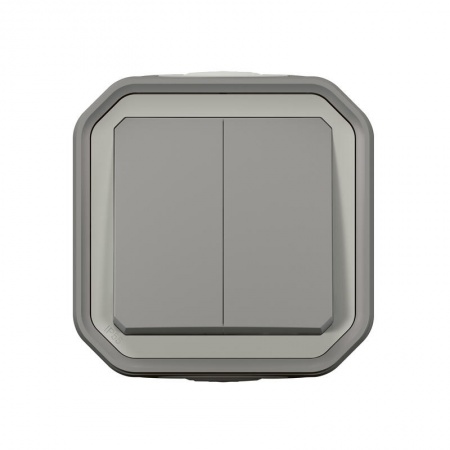 Commande double interrupteur ou poussoir Plexo complet saillie gris