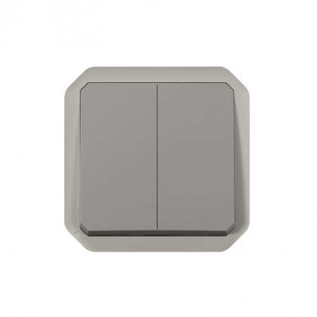 Commande double interrupteur ou poussoir Plexo composable gris