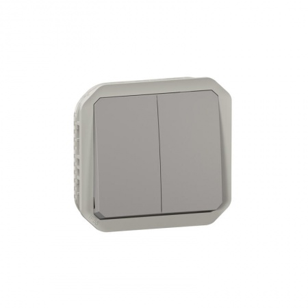 Commande double interrupteur ou poussoir Plexo composable gris