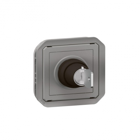 Interrupteur à clé Ronis 2 positions Plexo composable gris