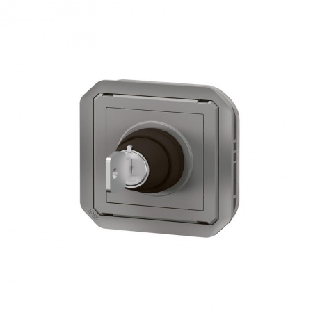 Interrupteur à clé Ronis 2 positions Plexo composable gris